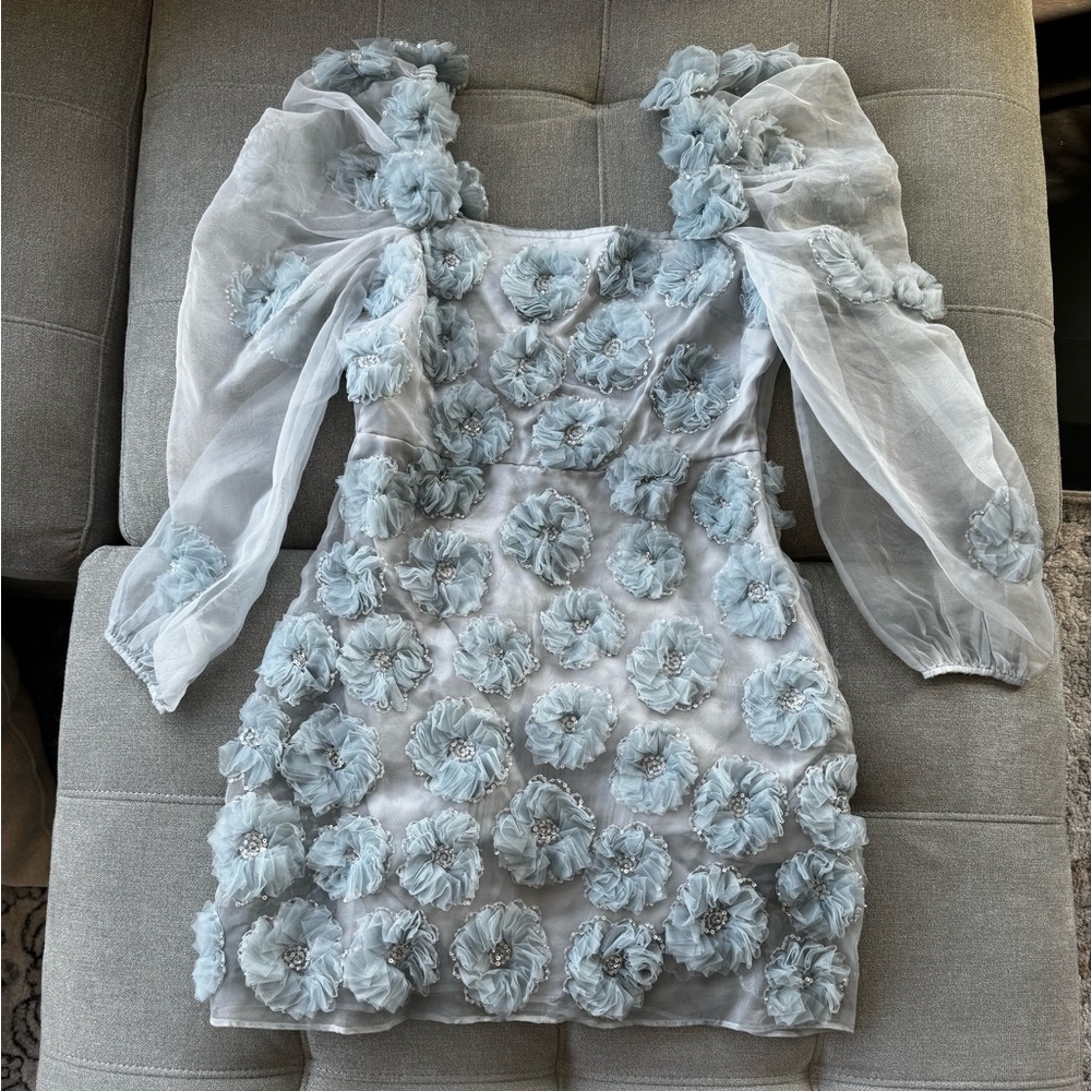 NWT LOVESHACKFANCY Wells appliquéd organza mini dress in blue size 4 - Picture 6 of 12